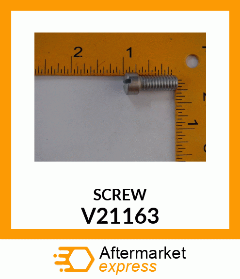 SCREW V21163