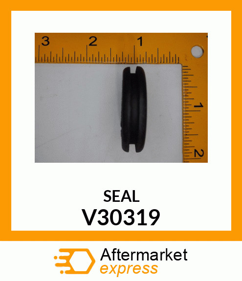 SEAL V30319