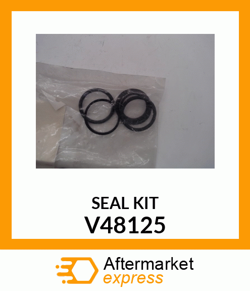 SEAL KIT V48125