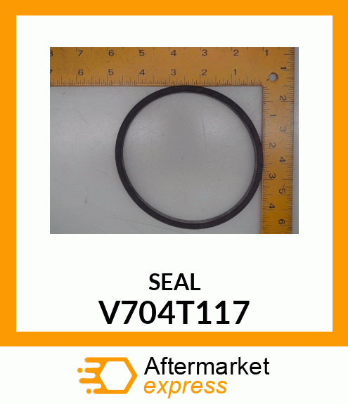 SEAL V704T117