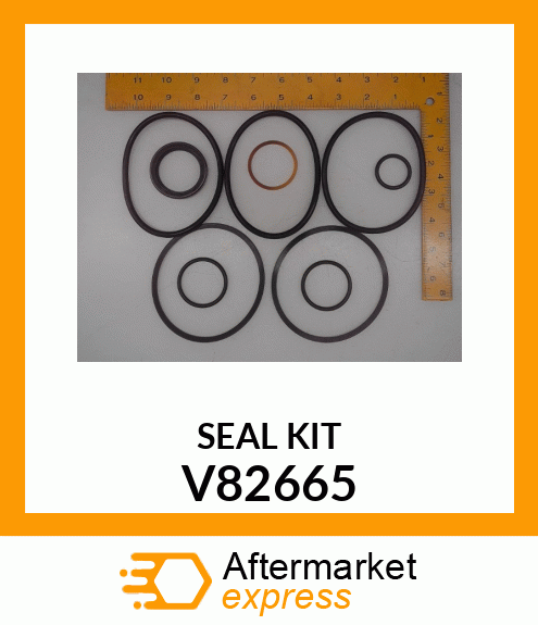 SEAL KIT V82665