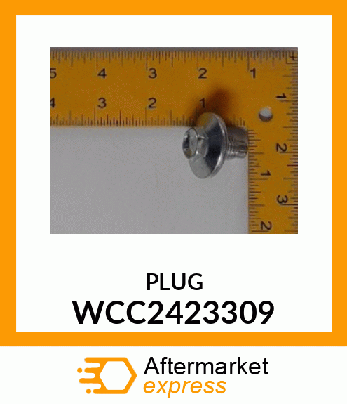 PLUG WCC2423309