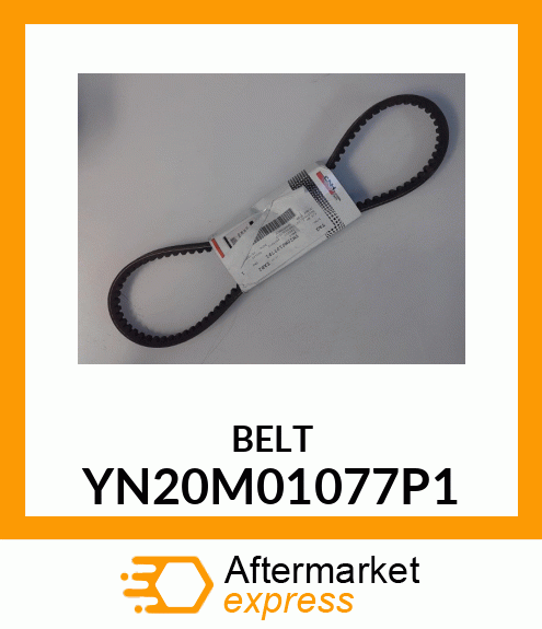 BELT YN20M01077P1