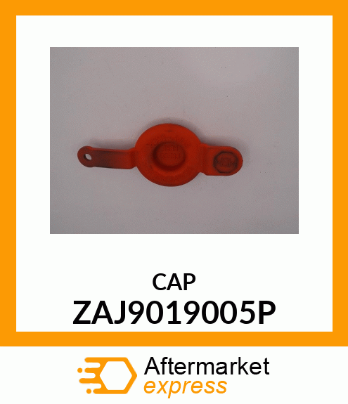 CAP ZAJ9019005P