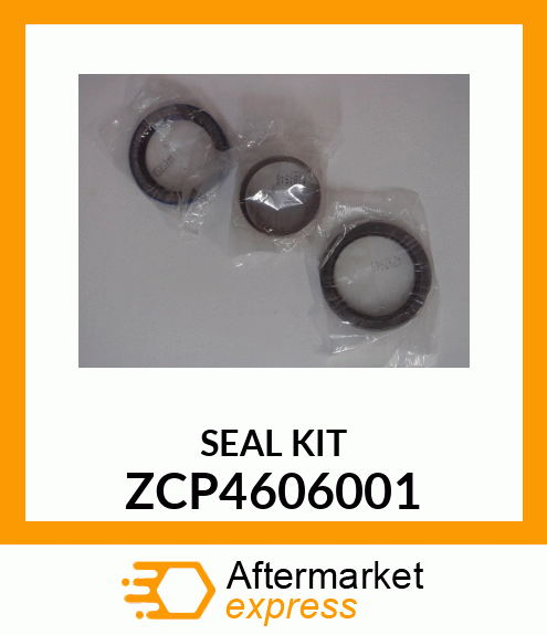 SEAL KIT ZCP4606001