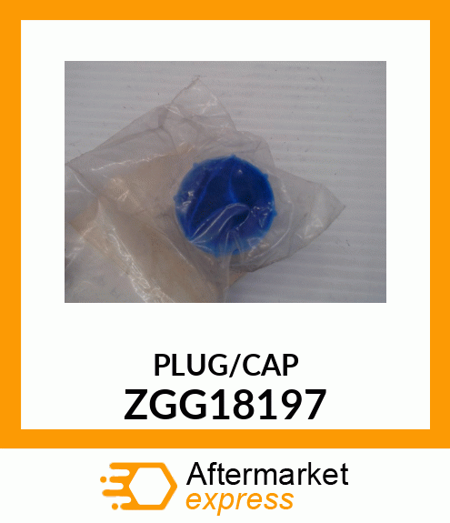 PLUG/CAP ZGG18197