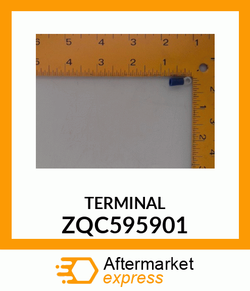 TERMINAL ZQC595901