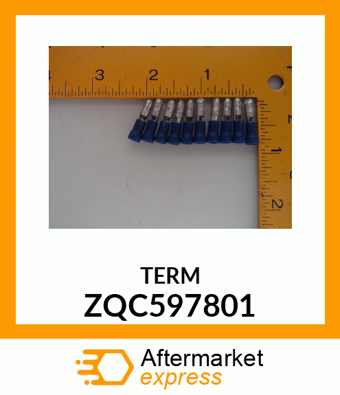 TERM ZQC597801