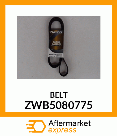 BELT ZWB5080775