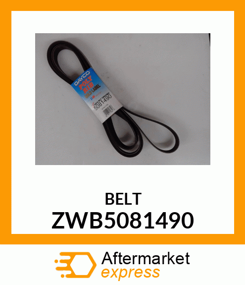 BELT ZWB5081490