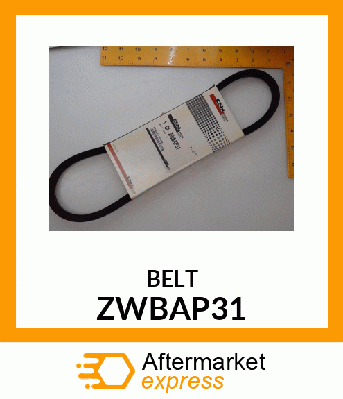 BELT ZWBAP31