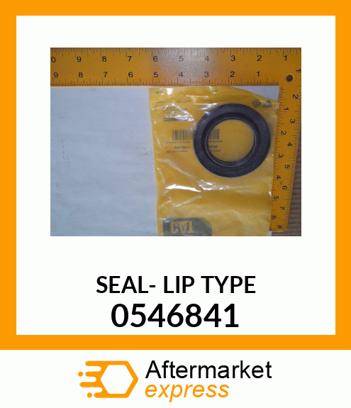 SEAL- LIP TYPE 0546841