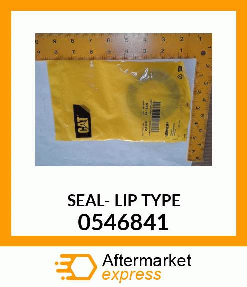 SEAL- LIP TYPE 0546841