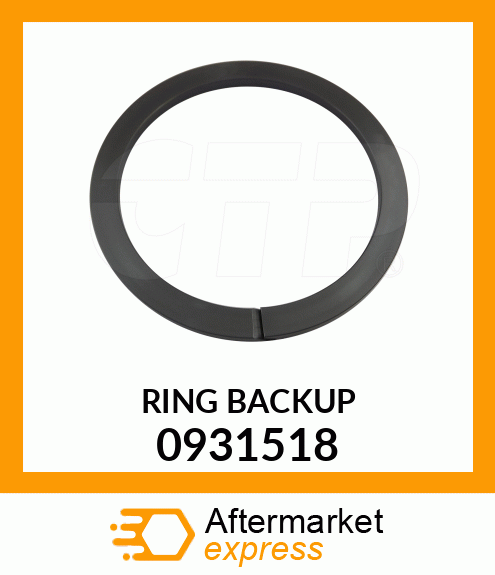 RING,BACK-UP 0931518