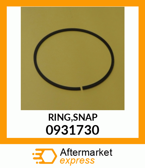 RING,SNAP 0931730