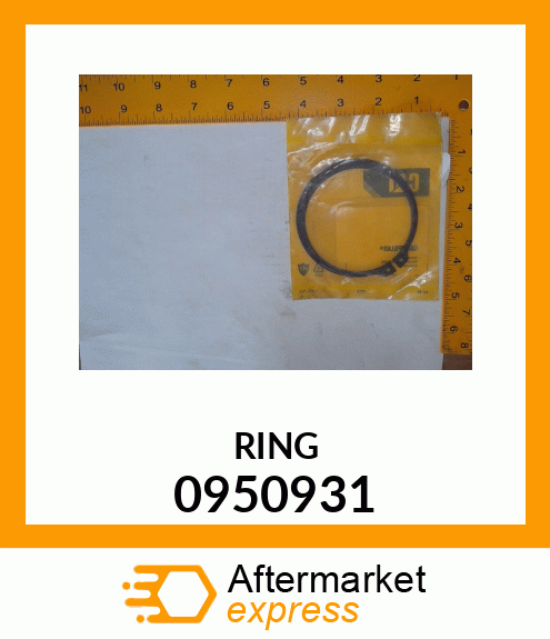 RING-SNAP 0950931