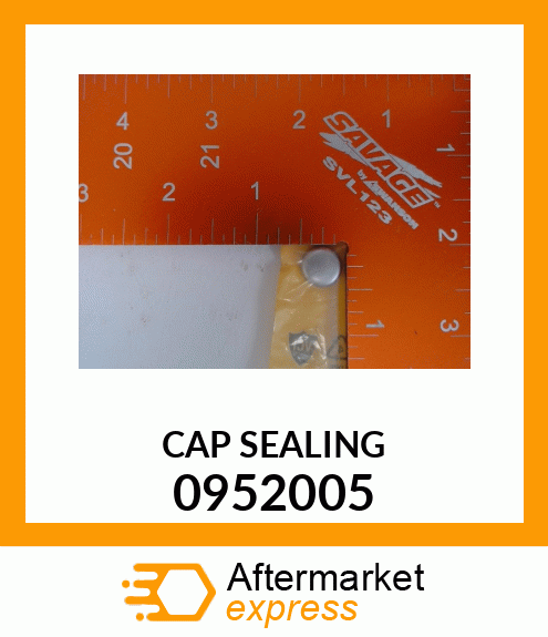 CAP SEALING 0952005