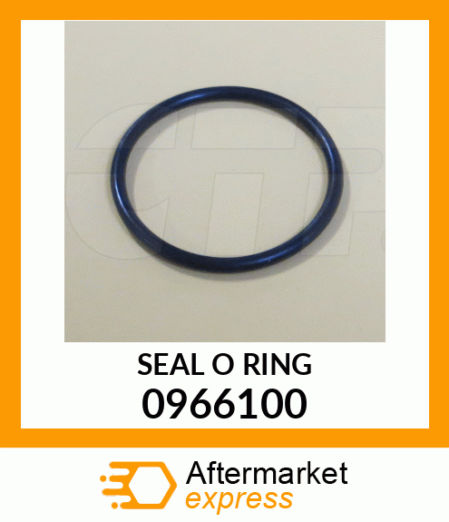 SEAL-O-RING 0966100