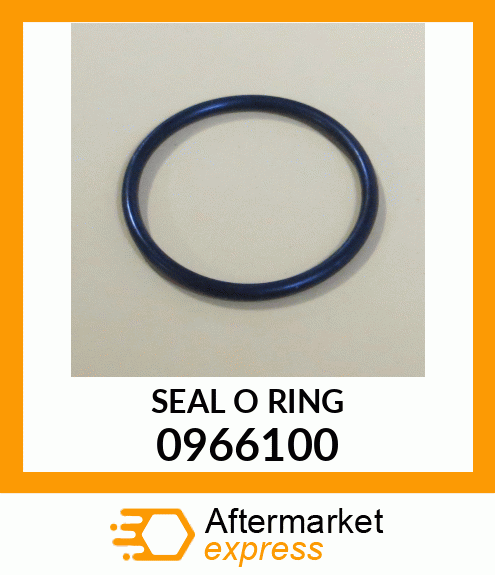 SEAL-O-RING 0966100