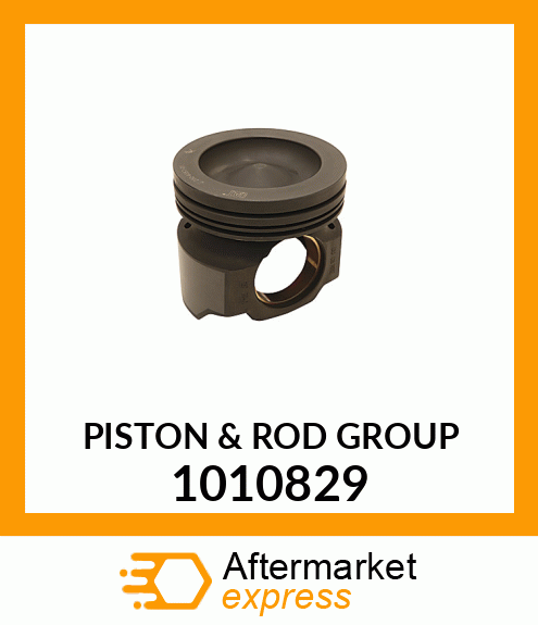 PISTON PACK 1010829