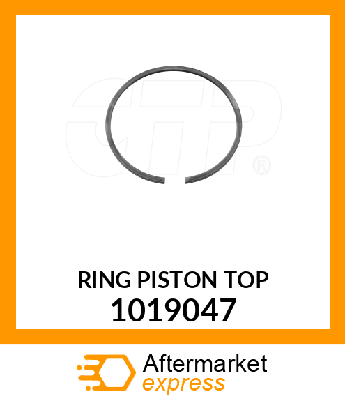 RING PISTO 1019047