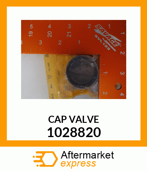 CAP VALVE 1028820