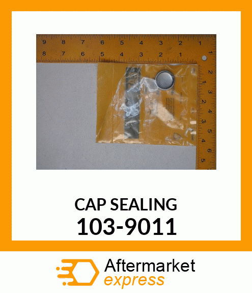 CAP 103-9011