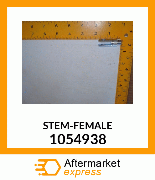 STEM-FEMALE 1054938