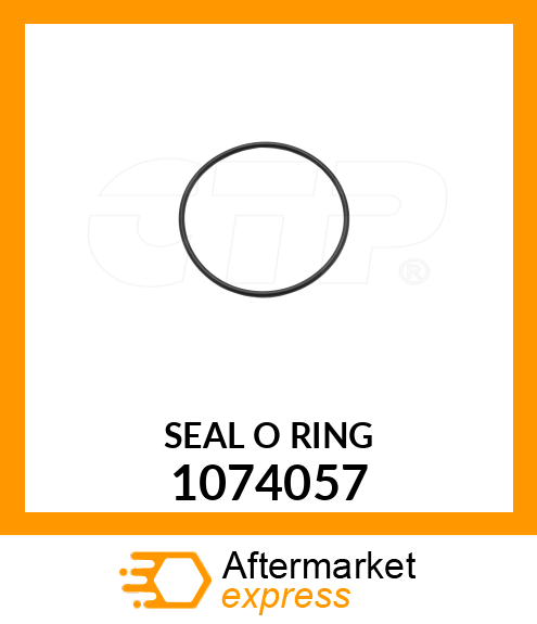 SEAL O RIN 1074057