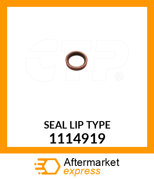 SEAL LIP TYP 1114919