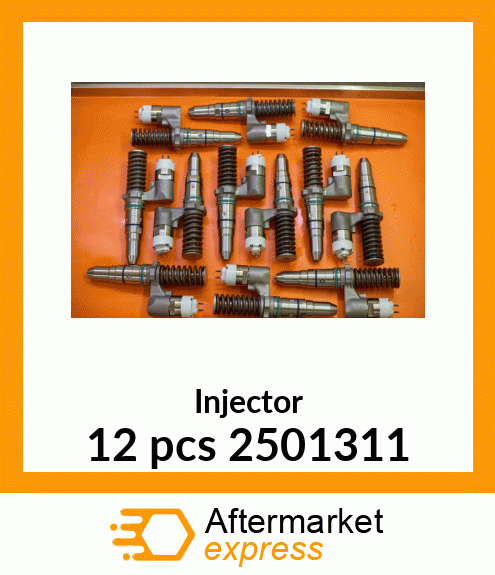 Injector 12 pcs 2501311