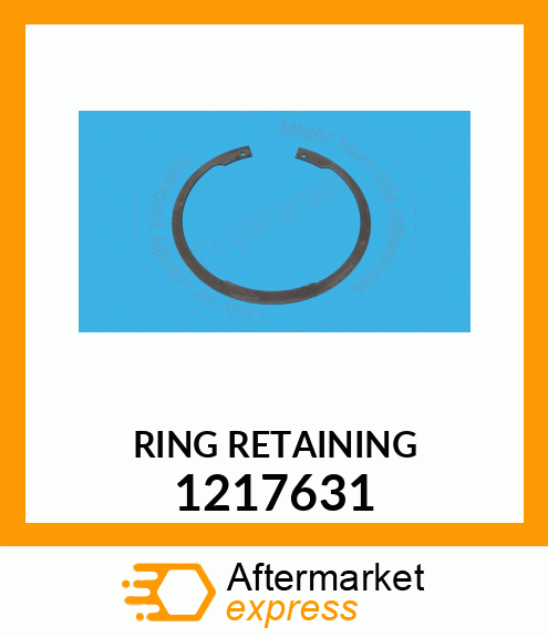 RING RETAINING 1217631