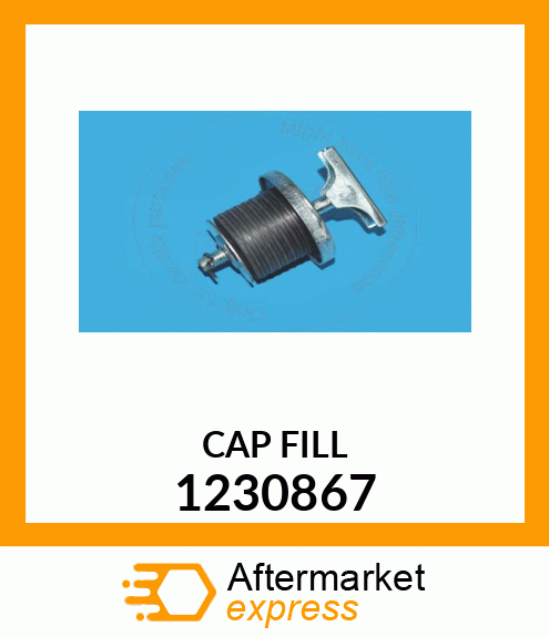 CAP FILL 1230867