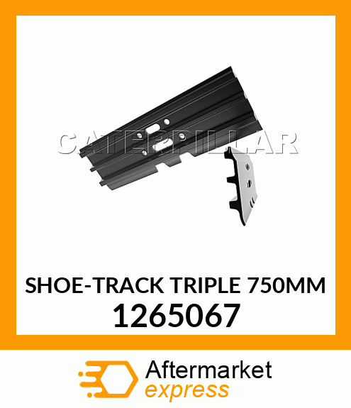 SHOE 1265067