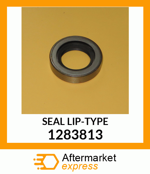 SEAL LIP-TYPE 1283813