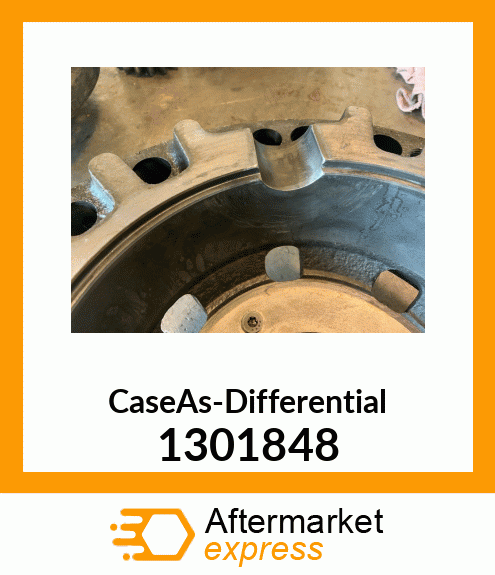 CaseAs-Differential 1301848