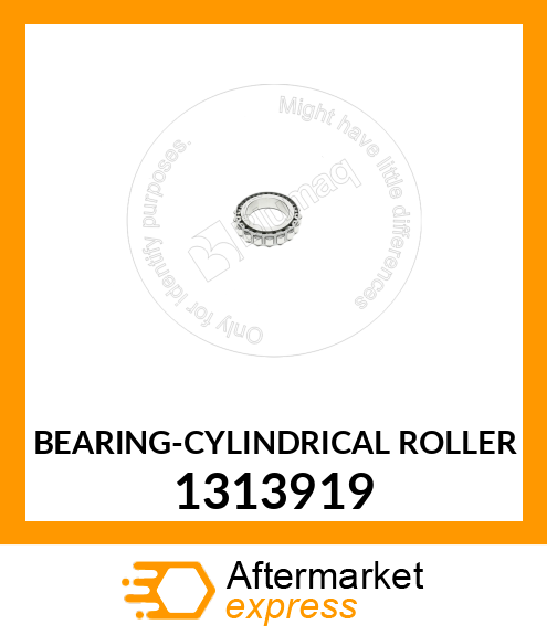 BEARING-RACE 1313919