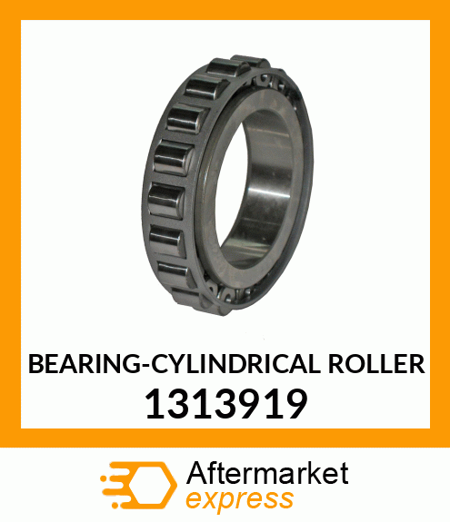 BEARING-RACE 1313919