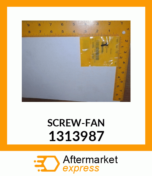 SCREW 1313987