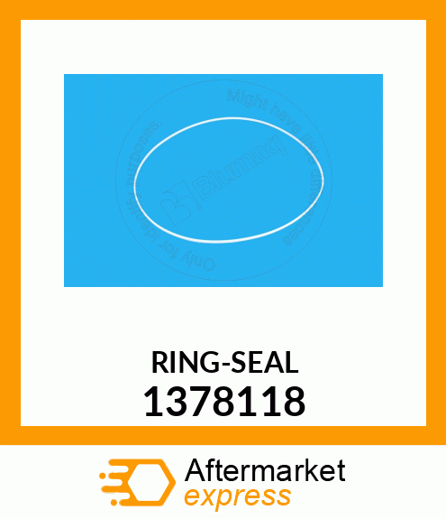 RING-SEAL 1378118