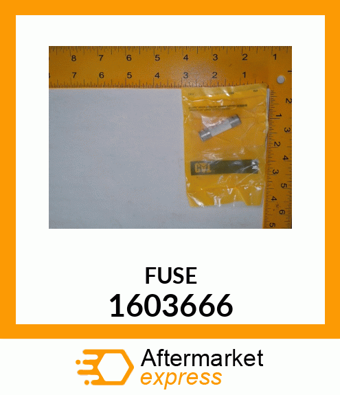 FUSE 1603666