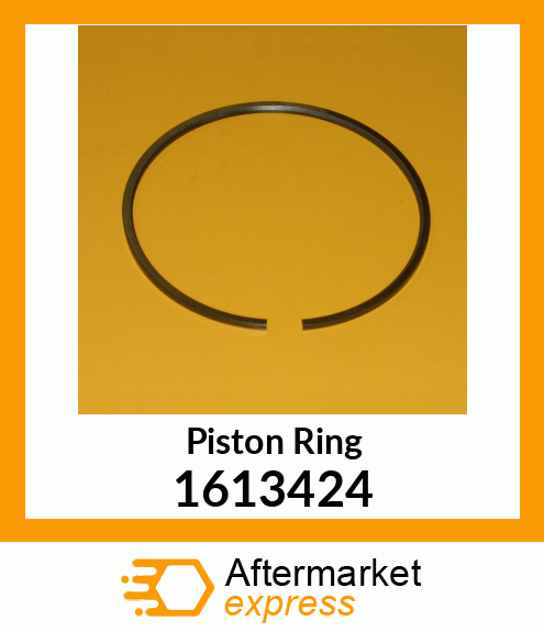 RING-PISTON 1613424