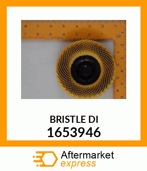 BRISTLE_DISC 1653946