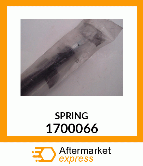 SPRING 1700066