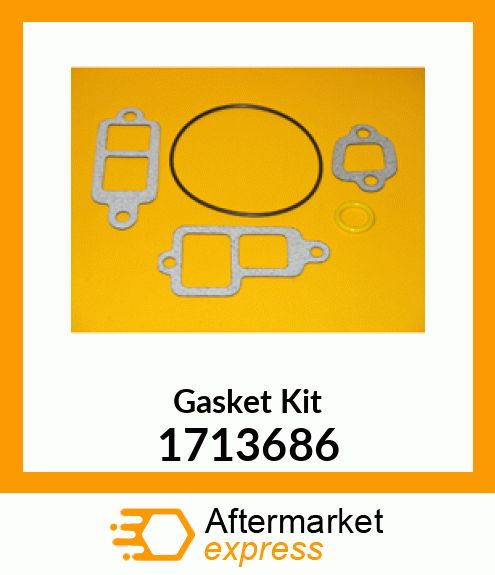 Gasket Kit 1713686