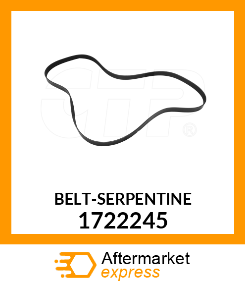 BELT (8K) 1722245