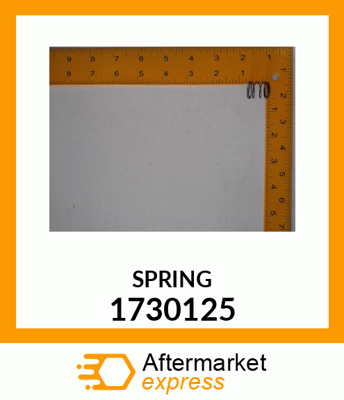 SPRING 1730125