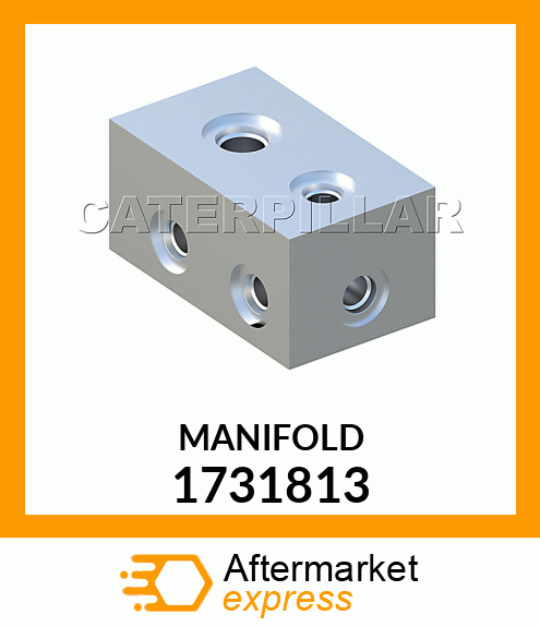 MANIFOLD 1731813