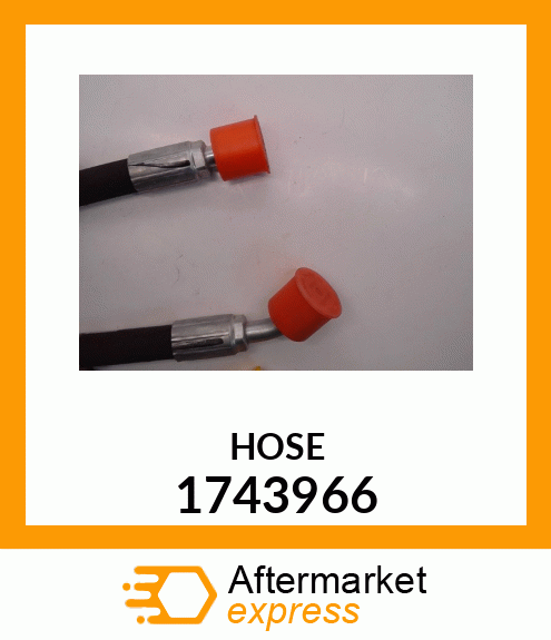 hOSE A 1743966