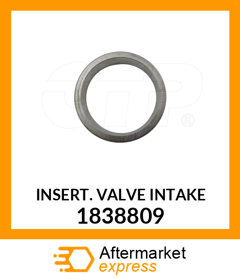 INSERT-VALVE 1838809